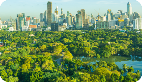 Urban Greening Initiatives
